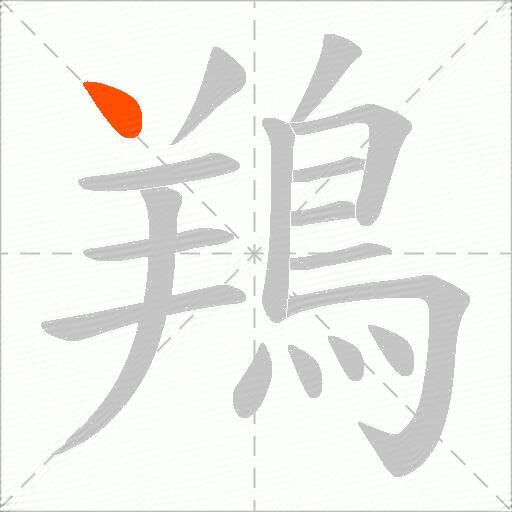 鴹