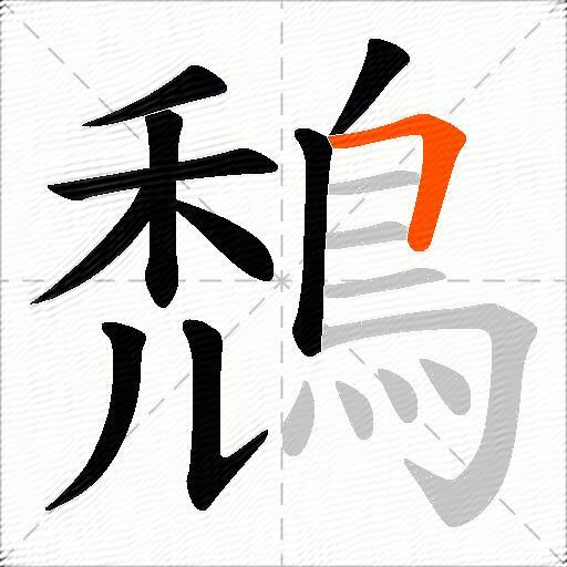 鵚