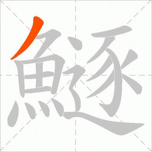鱁