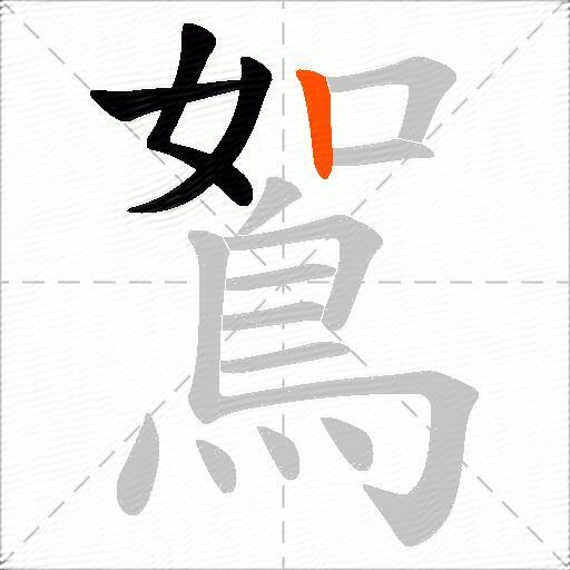 鴽