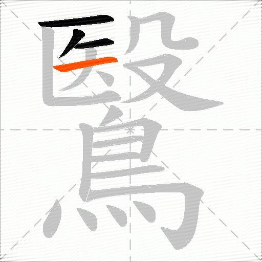 鷖