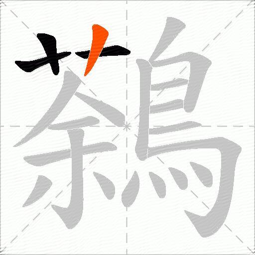 鷋