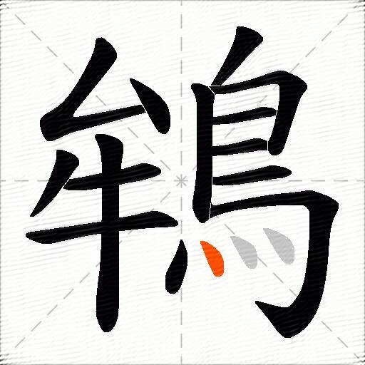 鴾