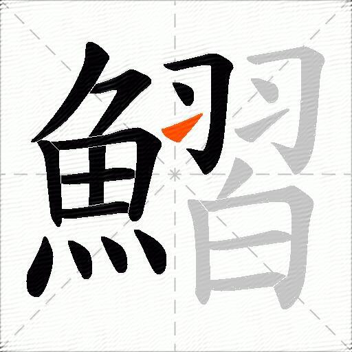 鰼