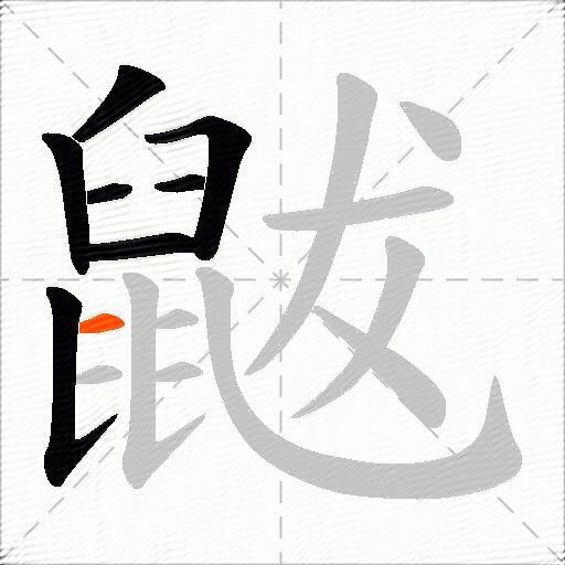 鼥