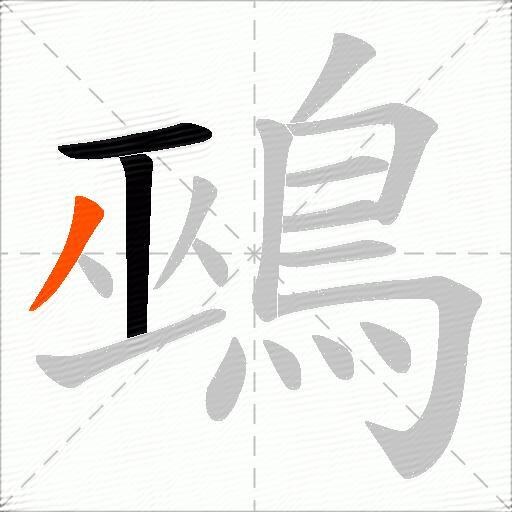 鵐