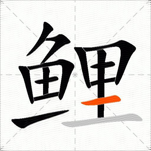 鲤