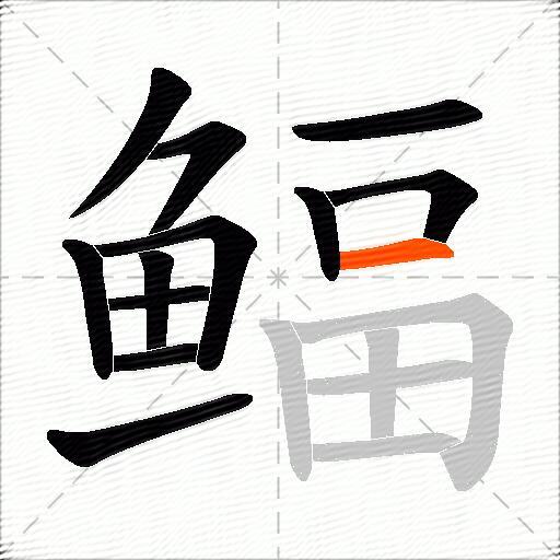 鲾