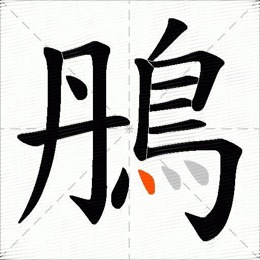 鴅