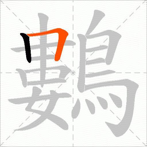 鷜