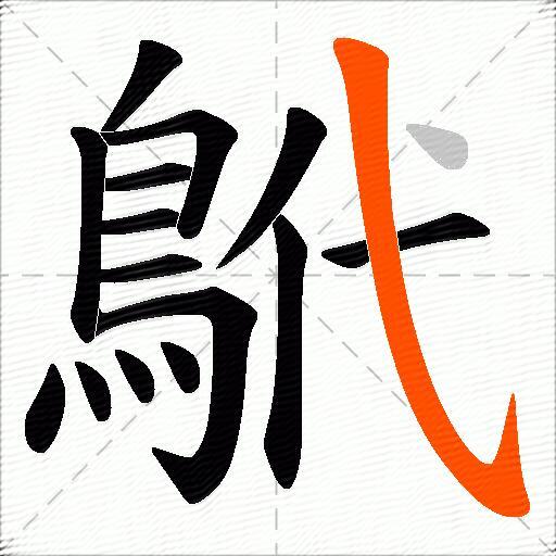 鴏