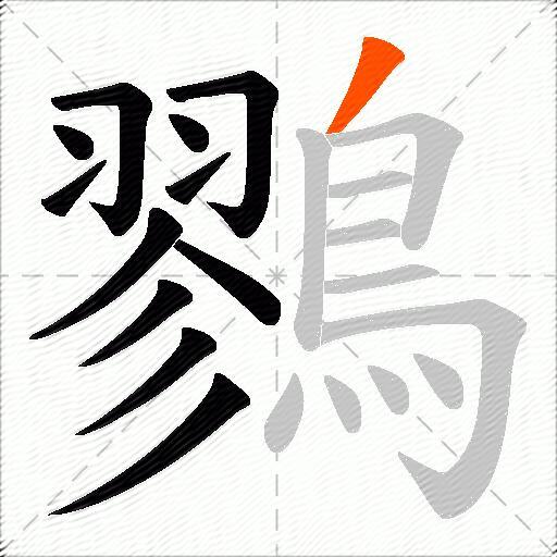 鷚