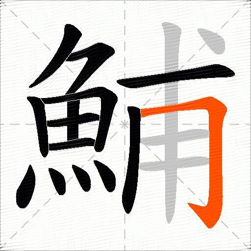 鯆