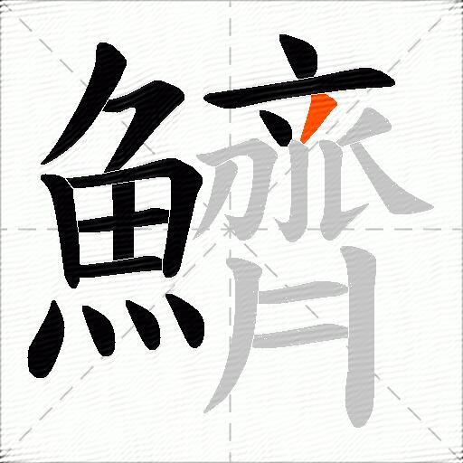 鱭