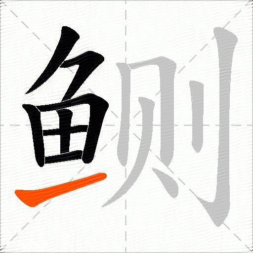 鲗