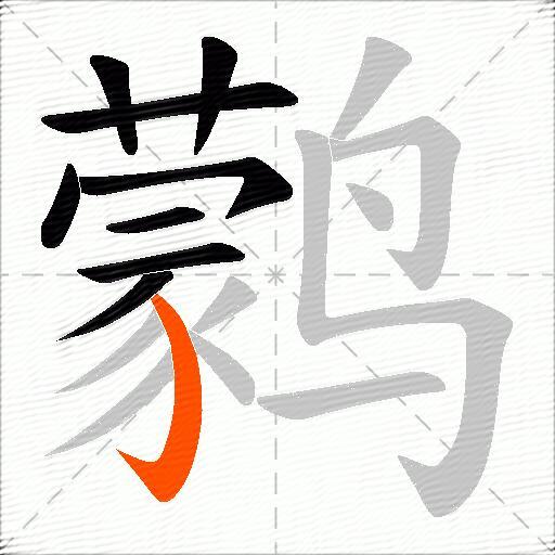 鹲