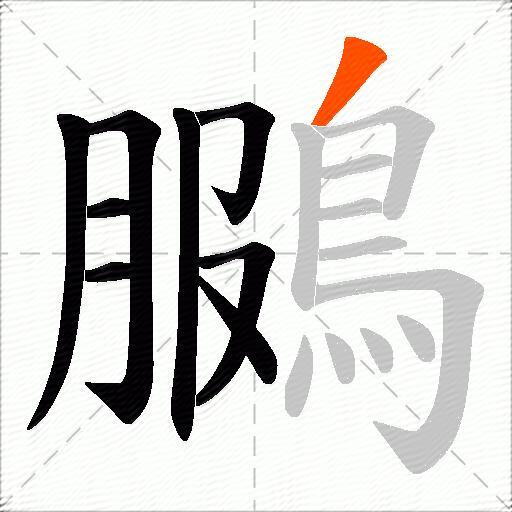 鵩