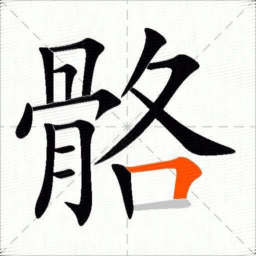 骼