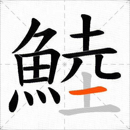 鯥