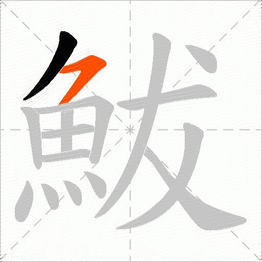 鮁