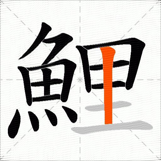 鯉