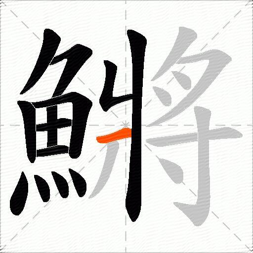 鱂