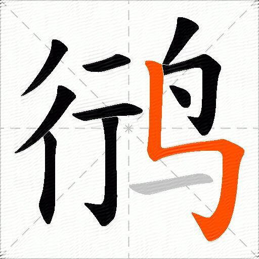 鸻
