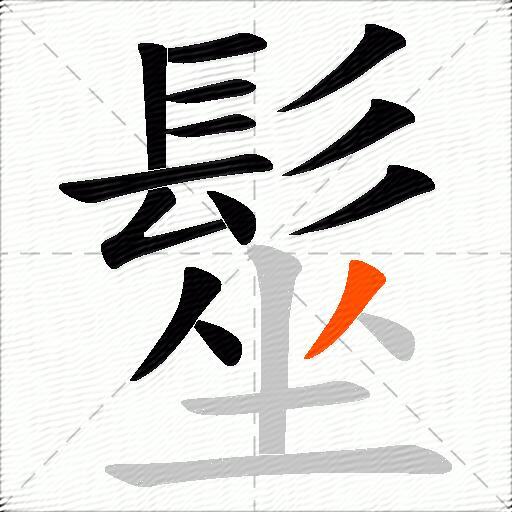 髽
