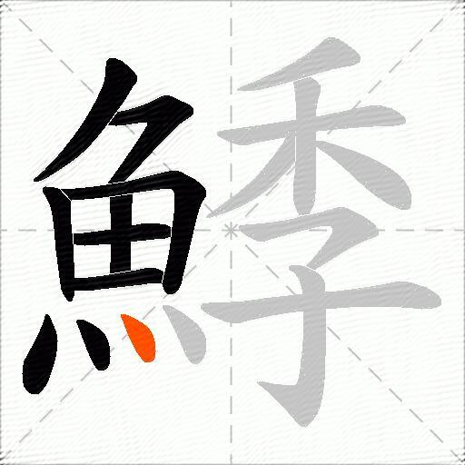鯚