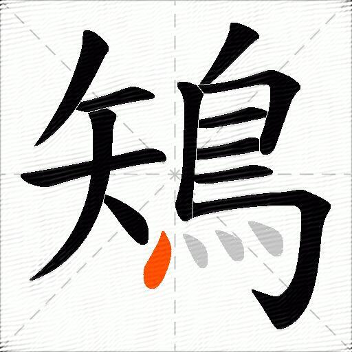 鴙