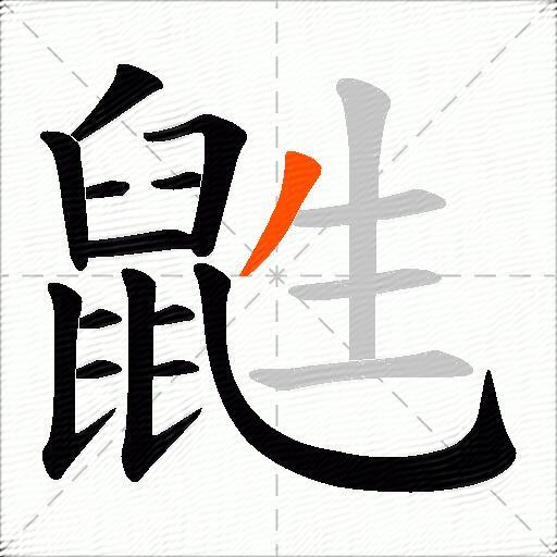 鼪