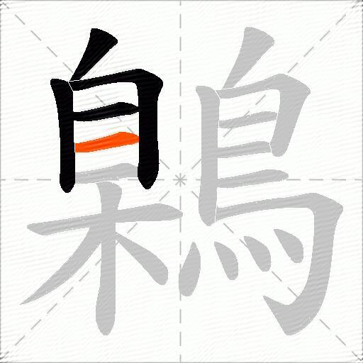鷍
