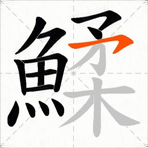 鰇