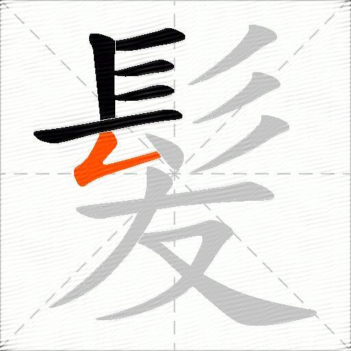 髪