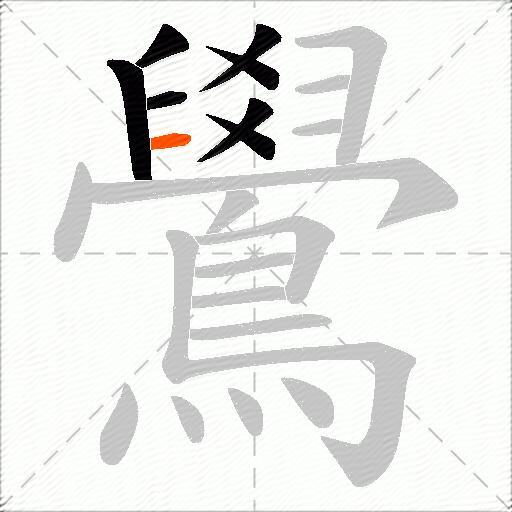 鷽