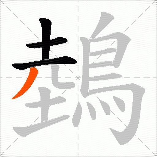 鵱