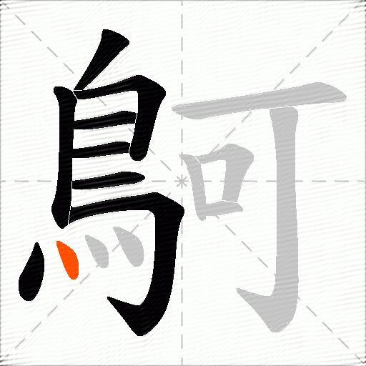 鴚