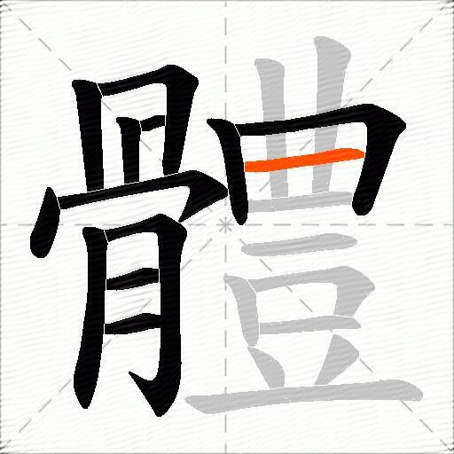 體