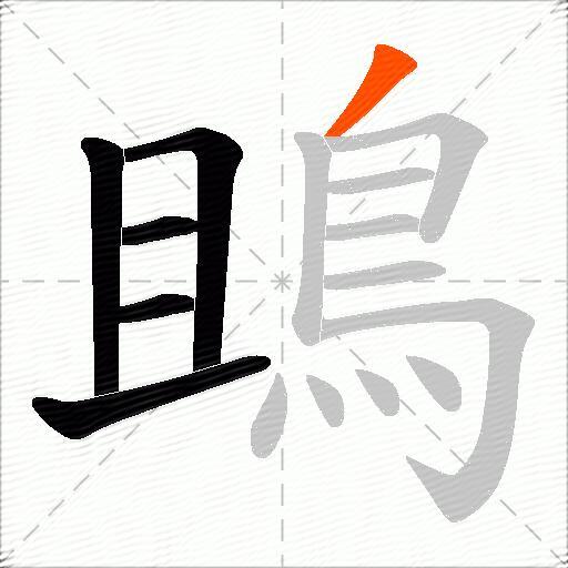 鴡