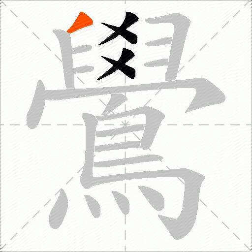 鷽