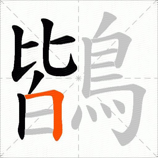 鶛