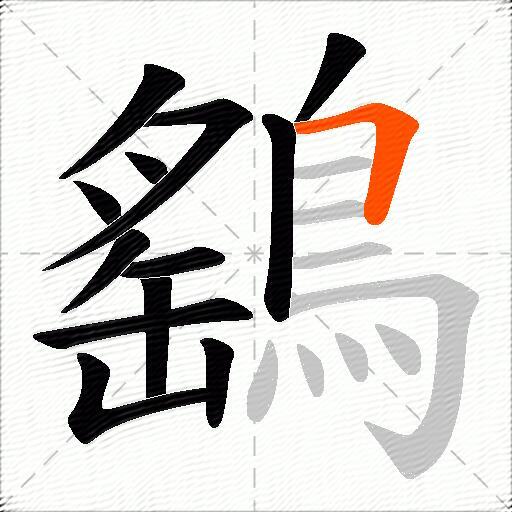鷂