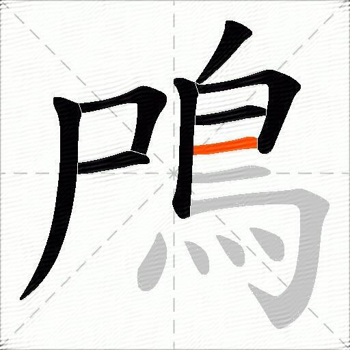 鳲