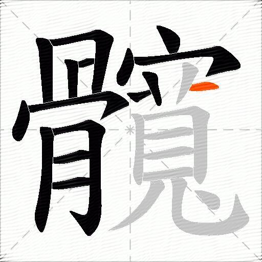 髖