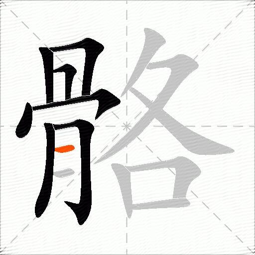 骼