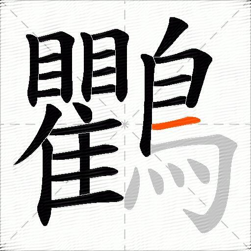 鸜