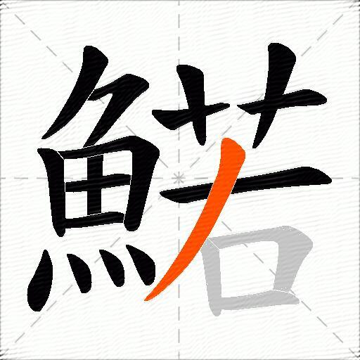 鰙