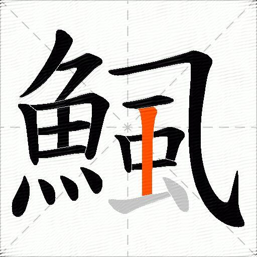 鯴