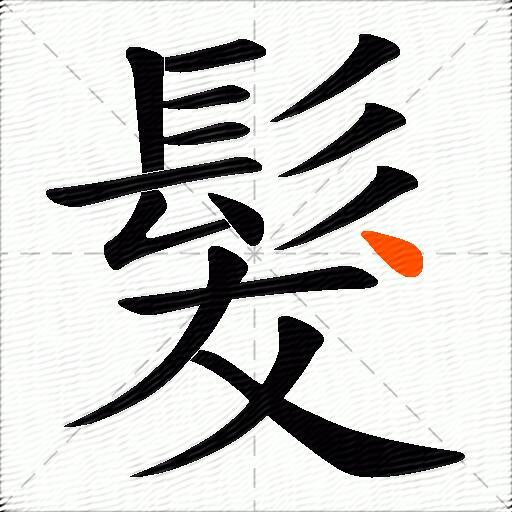 髮