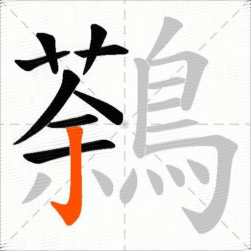 鷋